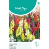 Horti Tops Moestuin>Leeuwenbekje Hoog Mix