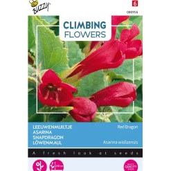 Buzzy Moestuin>Leeuwenmuiltje Red Dragon