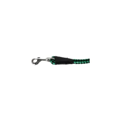 Gebr. de Boon Hondenriem>Looplijn nylon groen 15mm 75cm