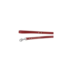 Hondenriem>Looplijn Seattle rood 130cm 20mm