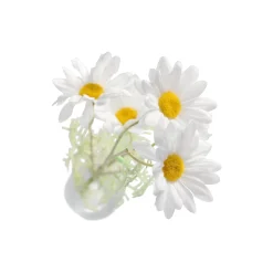 Decoris Kunstplanten En Kunstbloemen><noscript><img width=