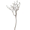 Everlands Kunstplanten En Kunstbloemen>Magnolia tak 93 cm