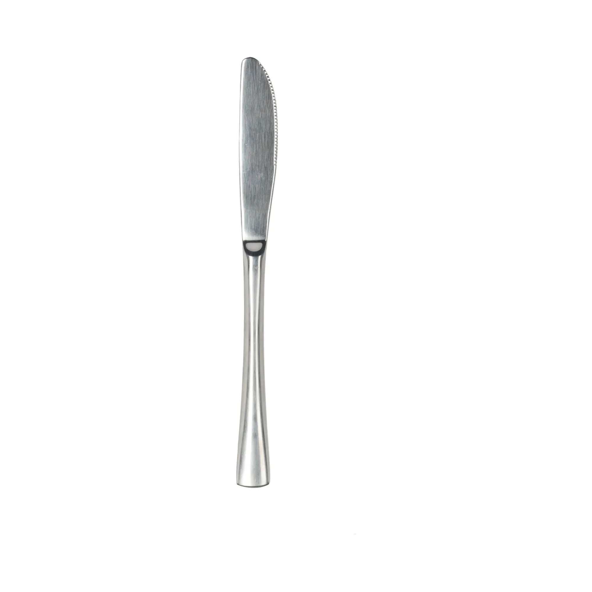 Alpina Koken & Tafelen>Mes 21cm RVS 2st