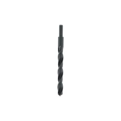 Rex Toebehoren Elektrisch Gereedschap>Metaalboor afgedraaid 12.0 mm