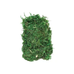 O'malley Kerstdorp>Mos groen 50G
