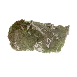 Natural Collections Woondecoratie>Mos naturel groen 100 g