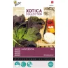 Buzzy Moestuin>Mosterdkool rood
