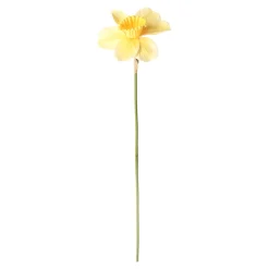 Decoris Kunstplanten En Kunstbloemen><noscript><img width=