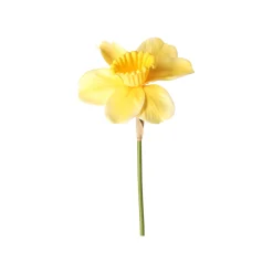 Decoris Kunstplanten En Kunstbloemen><noscript><img width=
