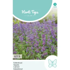 Horti Tops Moestuin>Nepeta kattenkruid