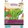Buzzy Moestuin>Okra