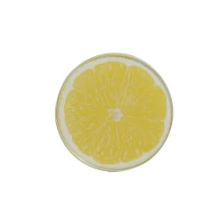 Decoris Koken & Tafelen>Onderzetter glas citrus 9 cm 4st.