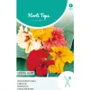 Horti Tops Moestuin>Oost-Indische kers Glorious Gleam