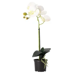 Natural Collections Kunstplanten En Kunstbloemen><noscript><img width=