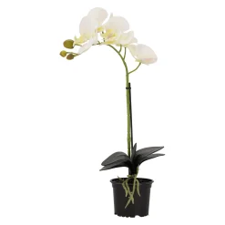 Natural Collections Kunstplanten En Kunstbloemen><noscript><img width=