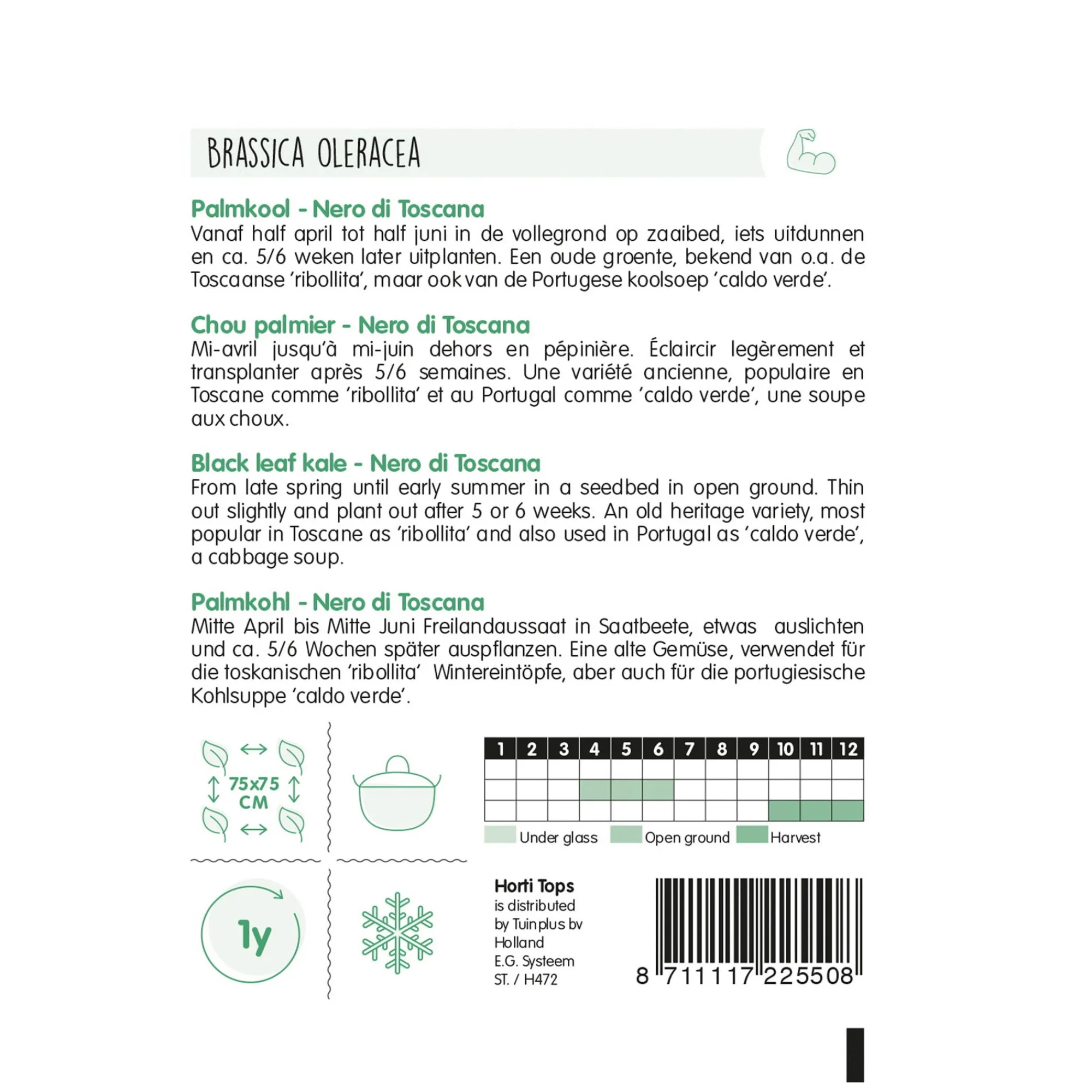 Horti Tops Moestuin>Palmkool Nero di Toscane