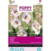 Buzzy Moestuin>Papaver Blauwmaanzaad