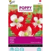 Buzzy Moestuin>Papaver Deense vlag