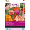 Buzzy Moestuin>Papaver Thai Silk