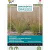 Buzzy Moestuin>Parelgras