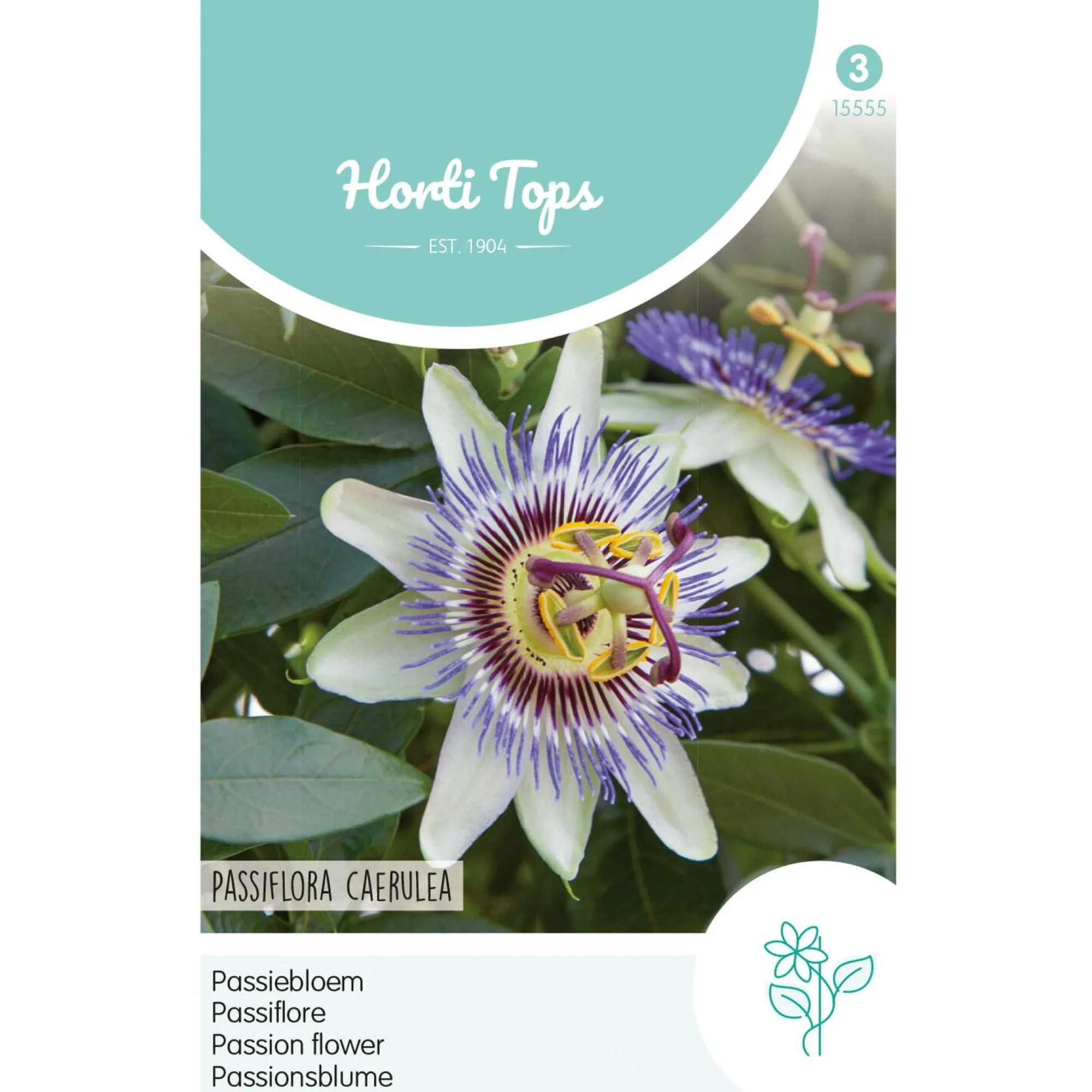 Horti Tops Moestuin>Passiebloem