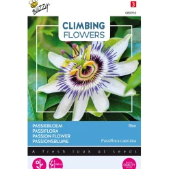 Buzzy Moestuin>Passiebloem blauw