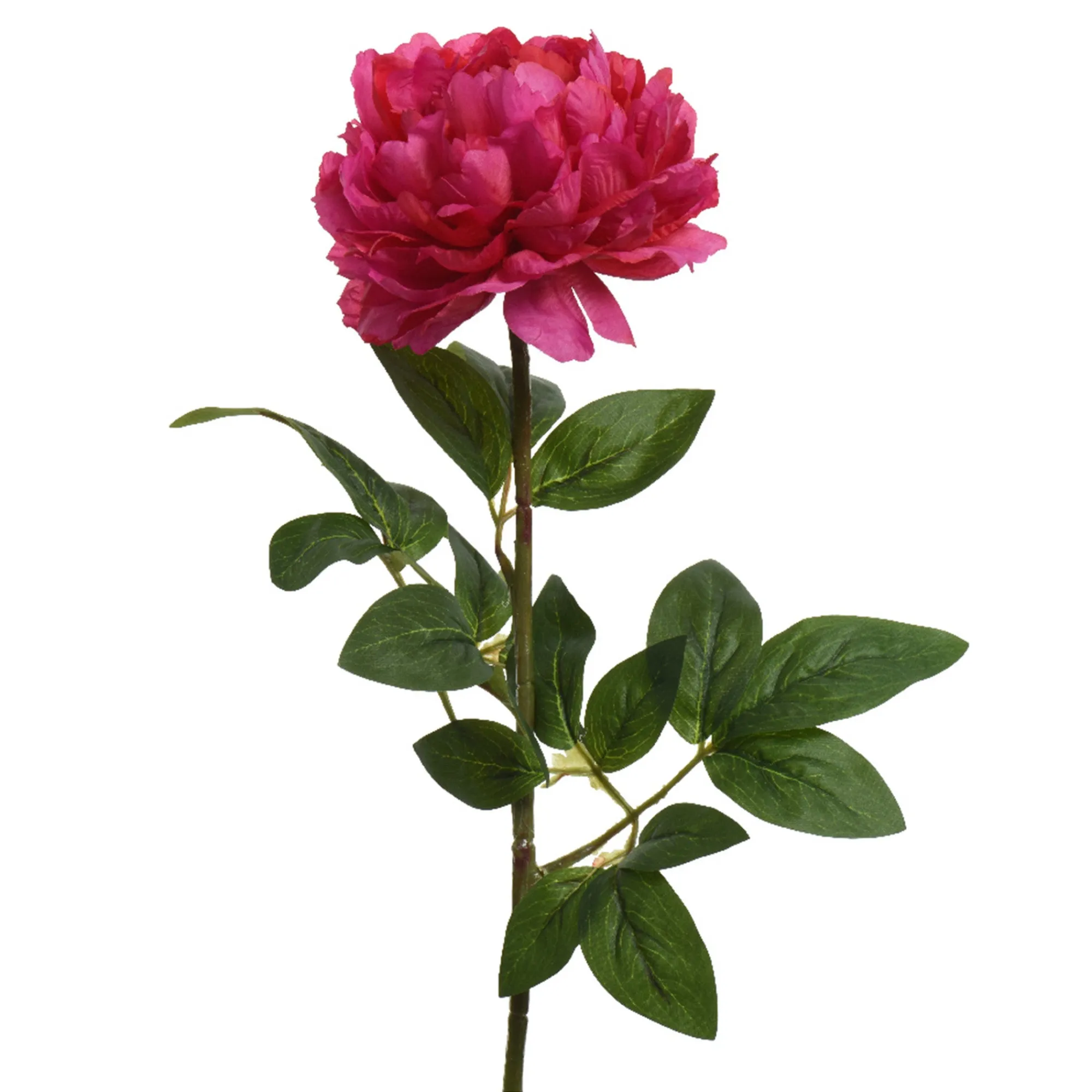 Everlands Kunstplanten En Kunstbloemen>Pioen fuchsia 72 cm