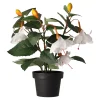 O'malley Kunstplanten En Kunstbloemen>Plant O 4 assorti