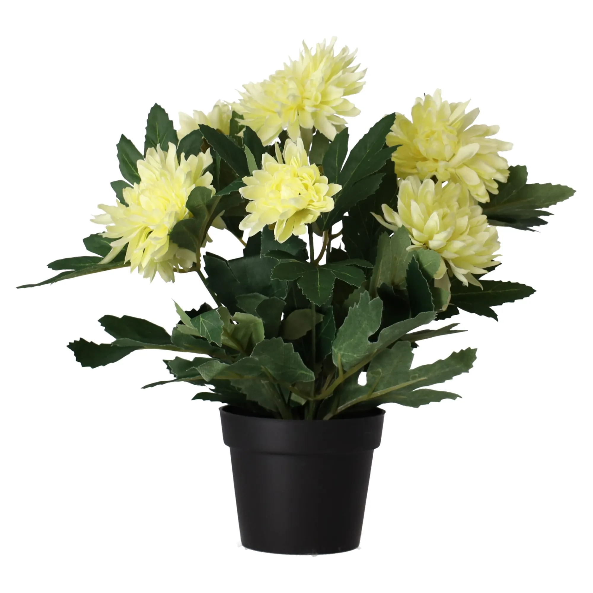 O'malley Kunstplanten En Kunstbloemen>Plant P 4 assorti