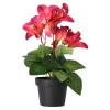 O'malley Kunstplanten En Kunstbloemen>Plant Q 12 assorti