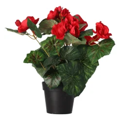O'malley Kunstplanten En Kunstbloemen>Plant R 4 assorti