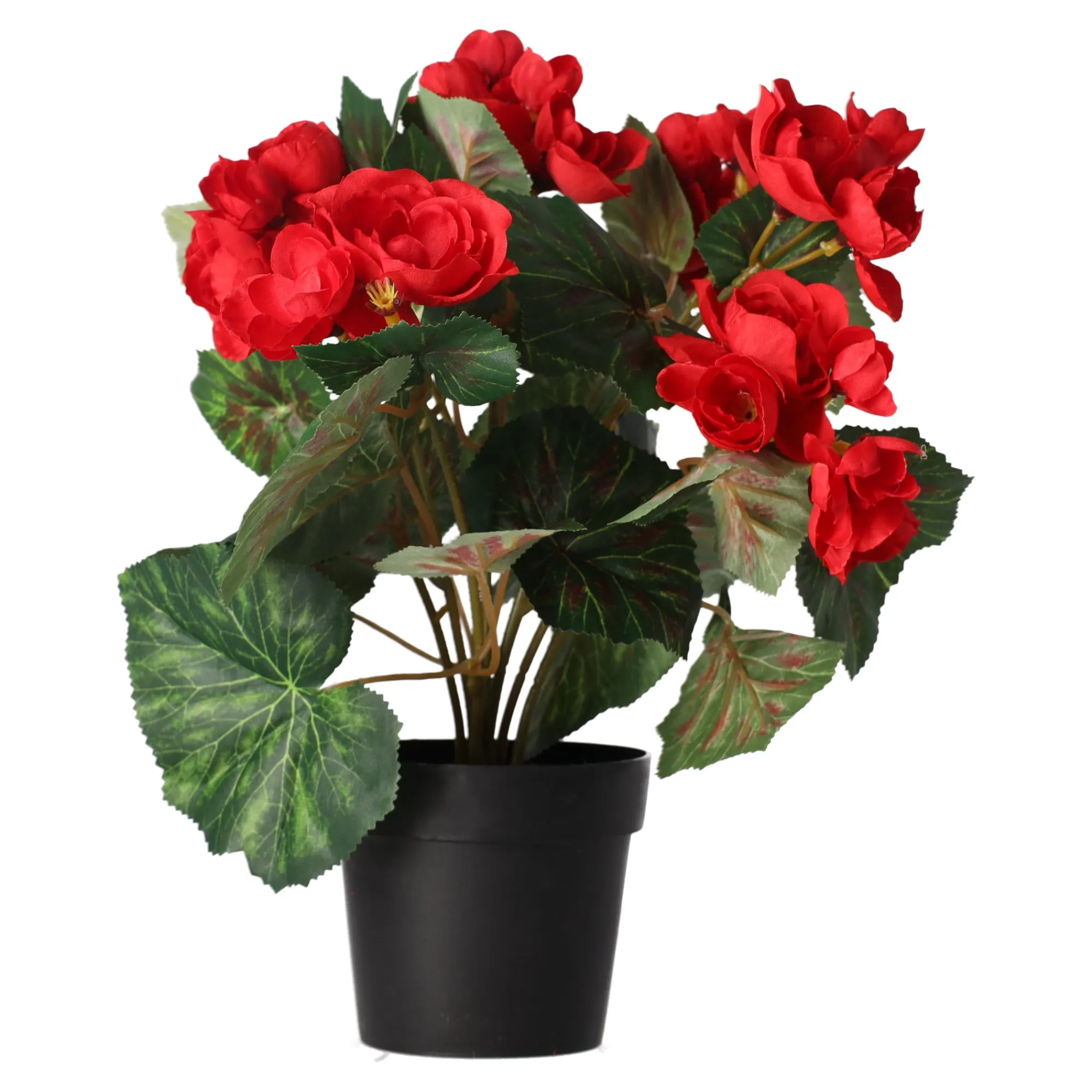 O'malley Kunstplanten En Kunstbloemen>Plant R 4 assorti