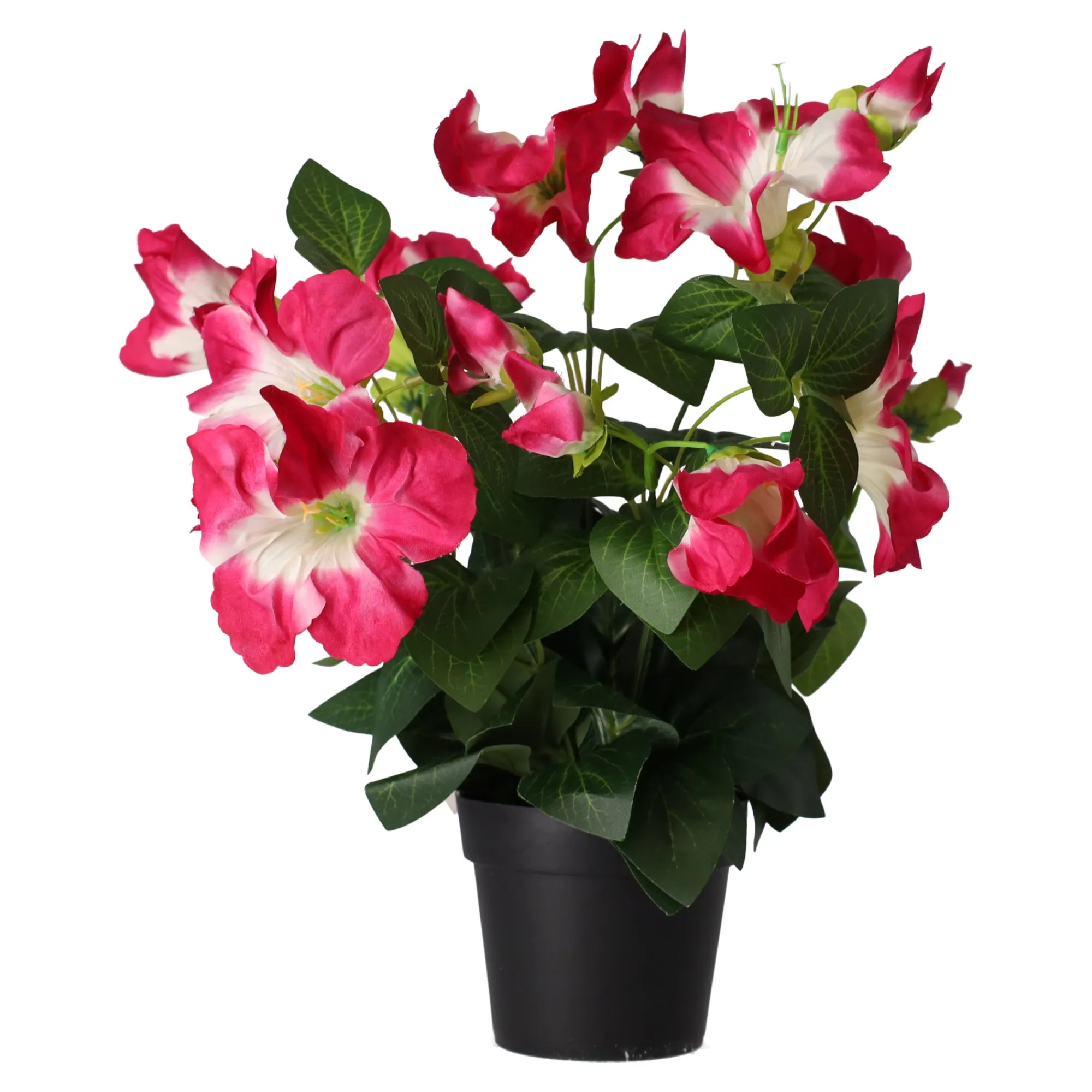 O'malley Kunstplanten En Kunstbloemen>Plant S assorti