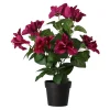 O'malley Kunstplanten En Kunstbloemen>Plant V 4 assorti