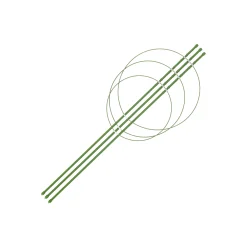 Bel Garden Moestuin>Plantensteun + ringen 75cm
