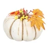 Van Cranenbroek Woondecoratie>Pompoen met decoratie 17x11cm