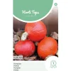 Horti Tops Moestuin>Pompoenen Uchiki Kuri zaad