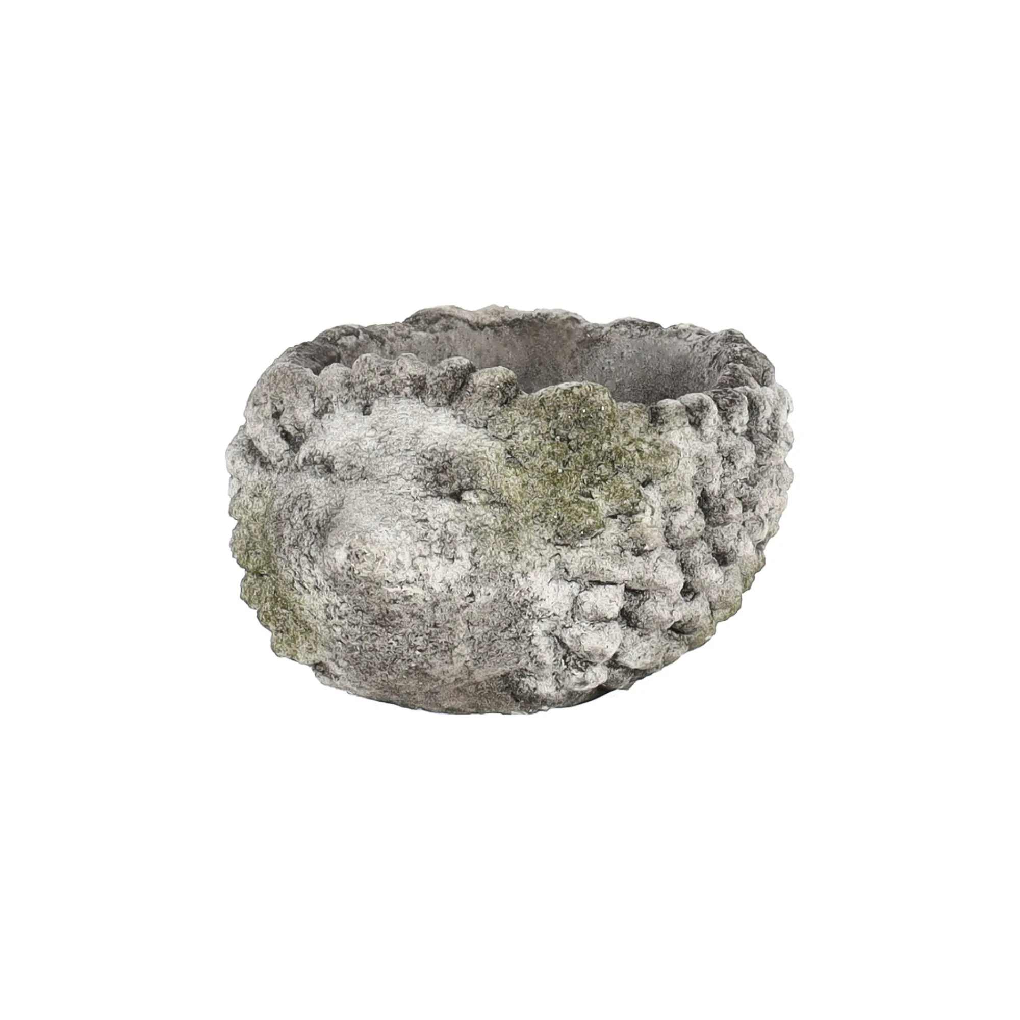 Vazen En Potten>Pot egel 14 cm cement