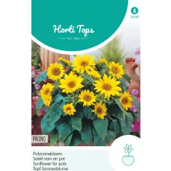 Horti Tops Moestuin>Potzonnebloem Pacino