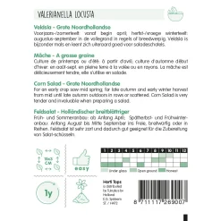 Horti Tops Moestuin>Rapen ronde witte roodkop zaad