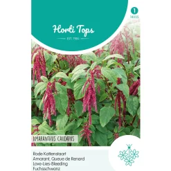 Horti Tops Moestuin>Rode Kattenstaart