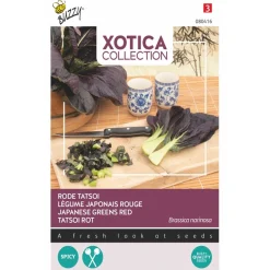 Buzzy Moestuin>Rode Tatsoi