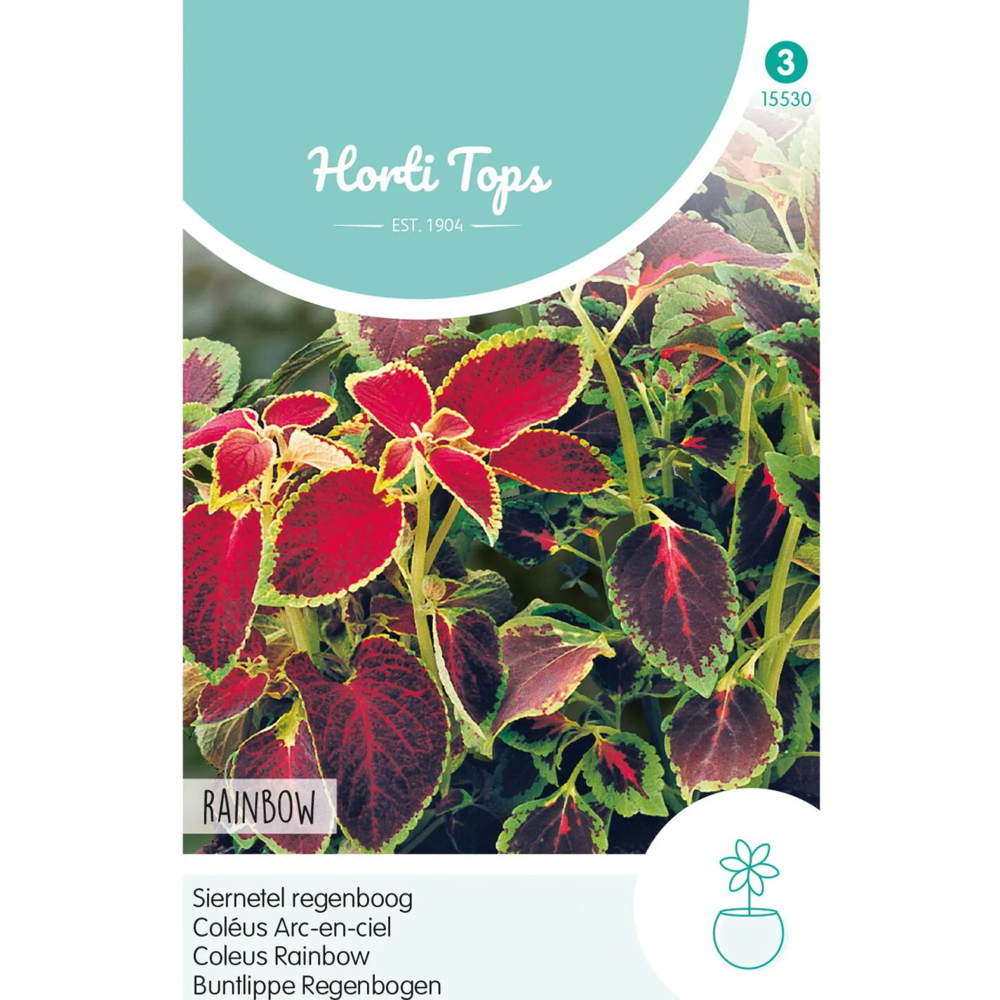 Horti Tops Moestuin>Siernetel Regenboog mix