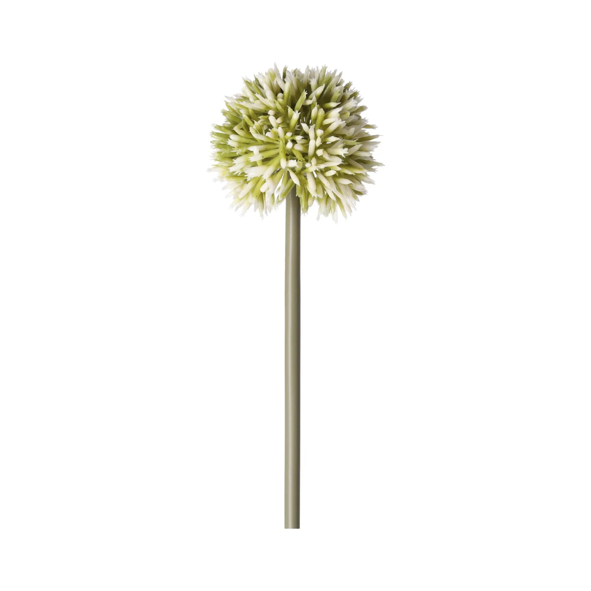 O'malley Kunstplanten En Kunstbloemen>Sierui 55 cm groen