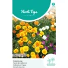 Horti Tops Moestuin>Slaapmutsje Enkelbloemig Mix