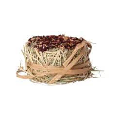 Smulti Knaagdieren Snacks>Snack hooirol appel/rode biet 75gr