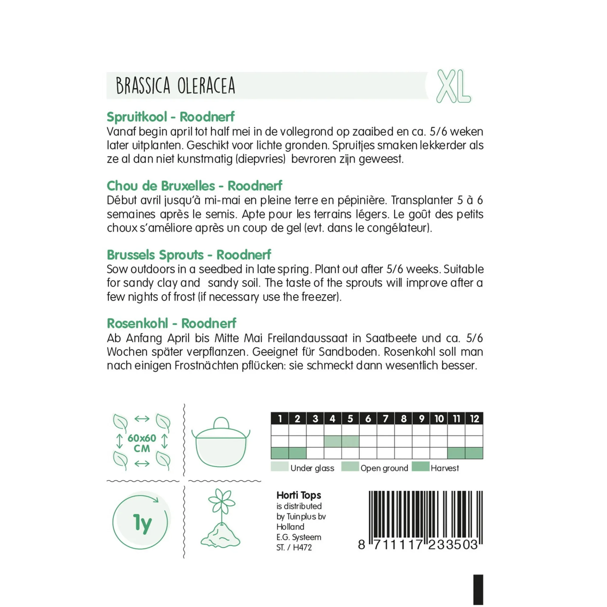 Horti Tops Moestuin>Spruitkool roodnerf