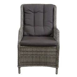 Bois le Duc Tuinstoelen>Stoel Manuli willow grey met kussen