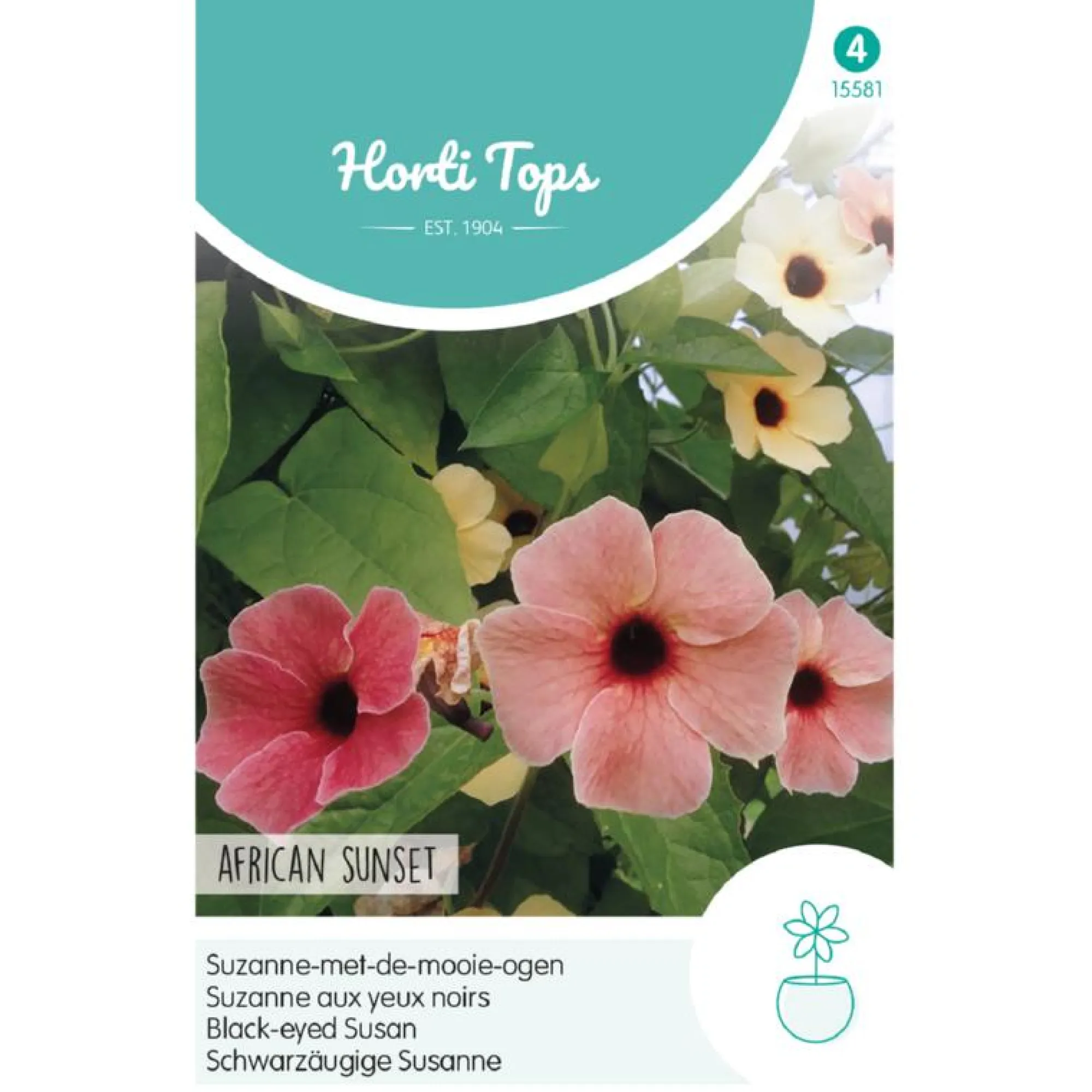 Horti Tops Moestuin>Suzanne-met-de-mooie-ogen African Sunset
