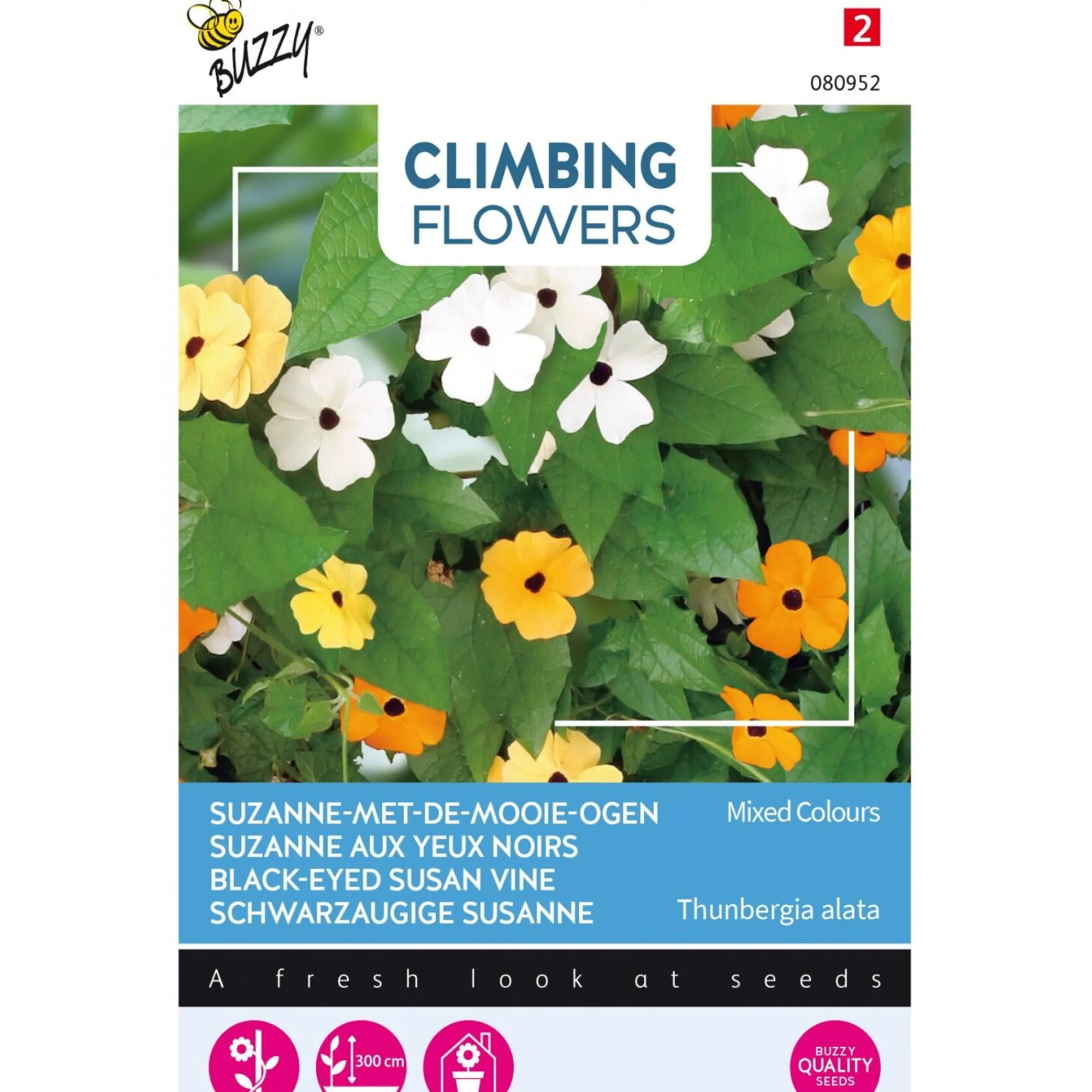 Buzzy Moestuin>Suzanne-met-de-mooie-ogen mix